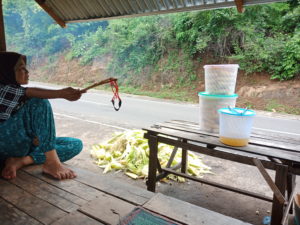 Pedagang Jagung Tekasire bersenjata Ketapel, Kenapa?
