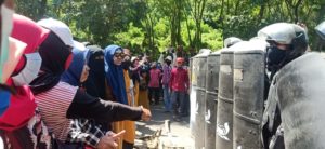 Harga Jagung Merosot, AST Blokir Jalan Negara