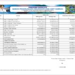 Ringkasan APBD Perubahan Pemerintah Provinsi NTB 2024 (2)