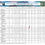 Ringkasan APBD Perubahan Pemerintah Provinsi NTB 2024 (9)