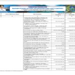 Ringkasan APBD Perubahan Provinsi NTB 2024 (19)