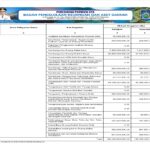 Ringkasan APBD Perubahan Provinsi NTB 2024 (20)