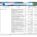 Ringkasan APBD Perubahan Provinsi NTB 2024 (21)