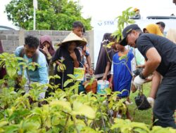 Peringati Hari Menanam Pohon Indonesia, PT STM bersama Warga Hu’u Tanam Ratusan Bibit Pohon