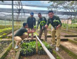 Ribuan Bibit Kemiri Siap Ditanam di Taman Nasional Tambora