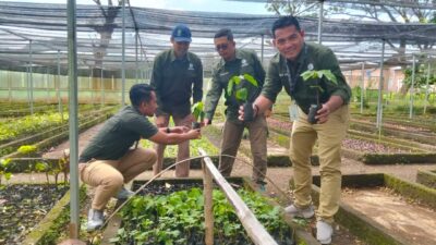 Ribuan Bibit Kemiri Siap Ditanam di Taman Nasional Tambora