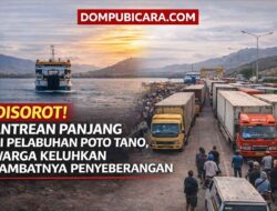 Disorot! Antrean Panjang di Pelabuhan Poto Tano, Warga Keluhkan Lambatnya Penyeberangan