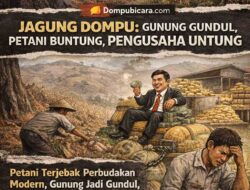 Jagung Dompu: Gunung Gundul, Petani Buntung, Pengusaha Untung