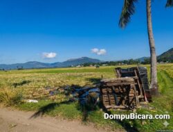 Brutal! Dalam Pengaruh Obat-Obatan, Remaja di Dompu Robohkan Pondok Sawah Milik Petani