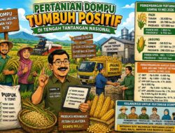 Pertanian Dompu Tumbuh Positif di Tengah Tantangan Nasional