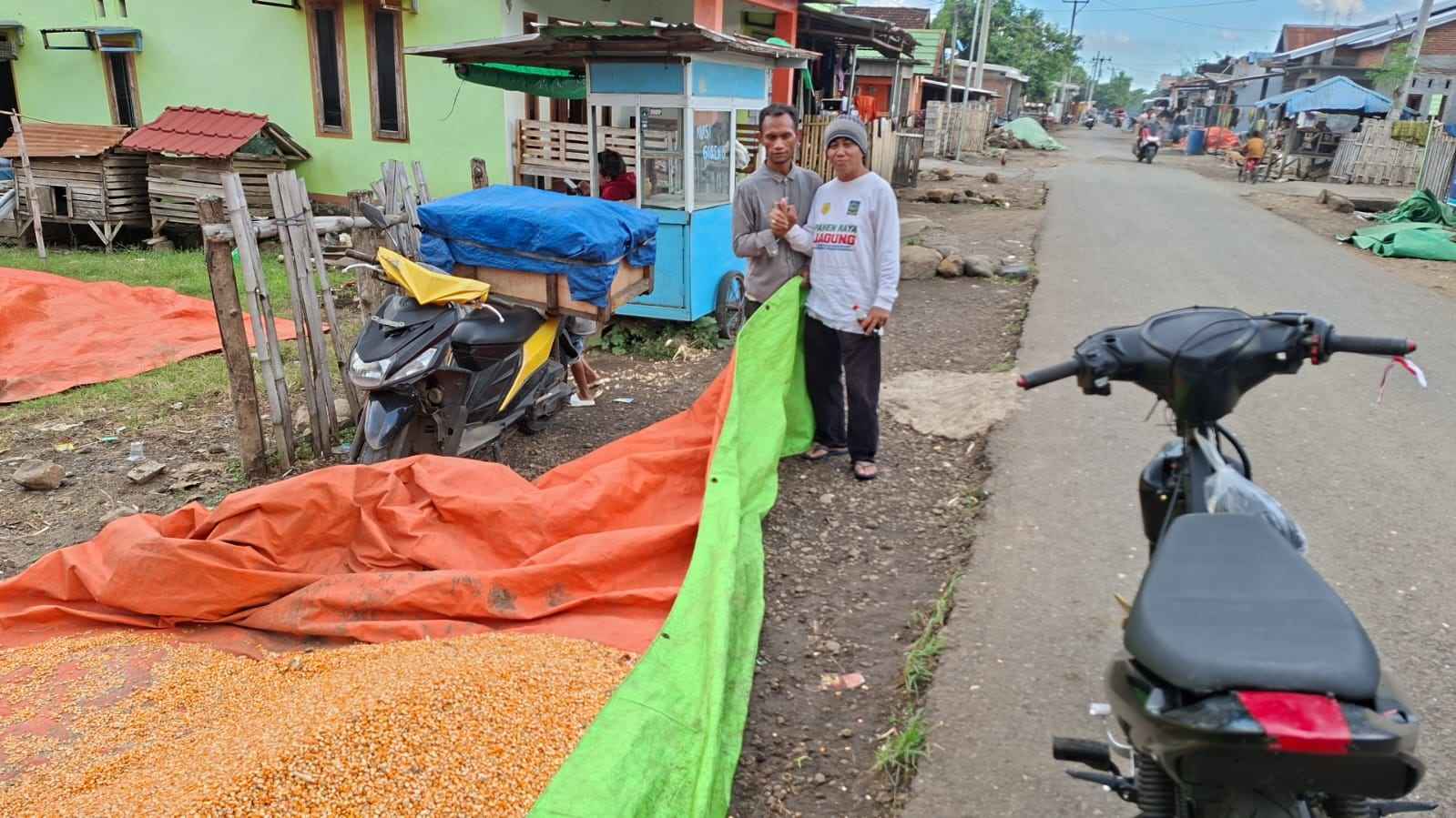 Harga jagung