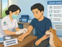 488 Kasus Gigitan HPR Ditangani, Dinkes Dompu Pastikan Layanan Rabies Siaga